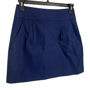 Navy Blue Theory Mini Skirt